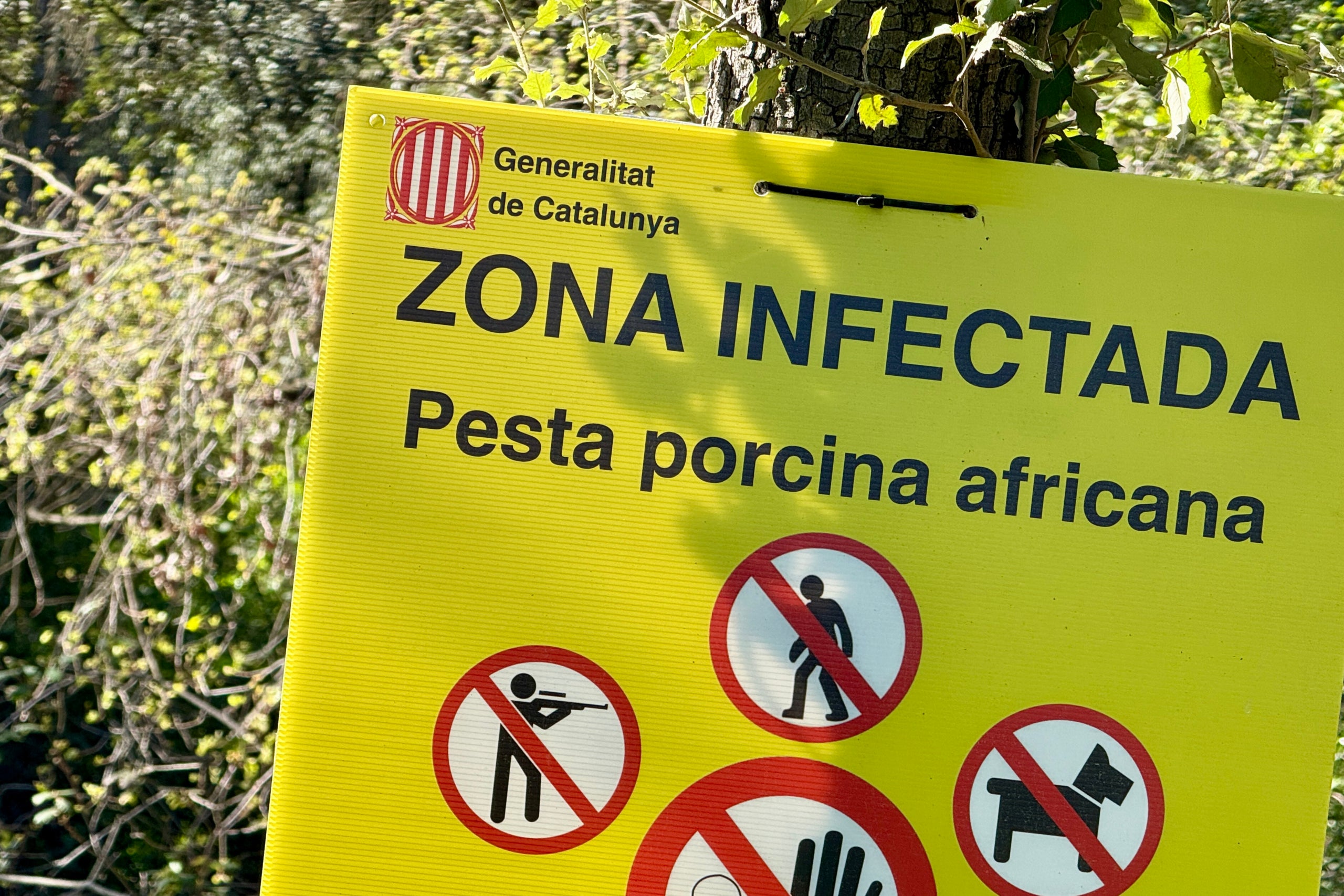 Una patrulla dels Mossos d'Esquadra controla un dels accessos a Collserola pel brot de la pesta porcina africana / Jordi Pujolar (ACN)