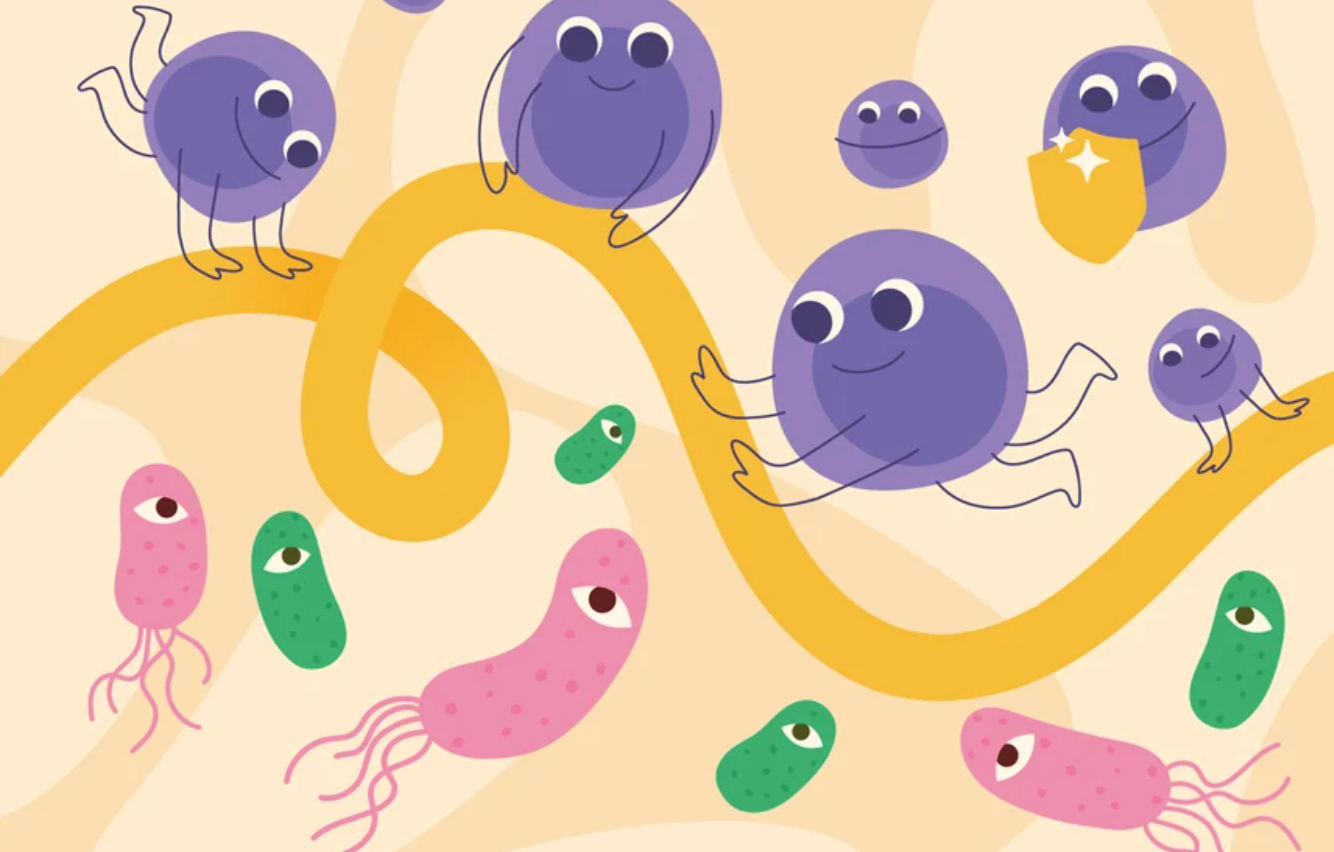 Al CosmoCaixa us espera un taller per descobrir els secrets del nostre sistema immunitari COSMOCAIXA