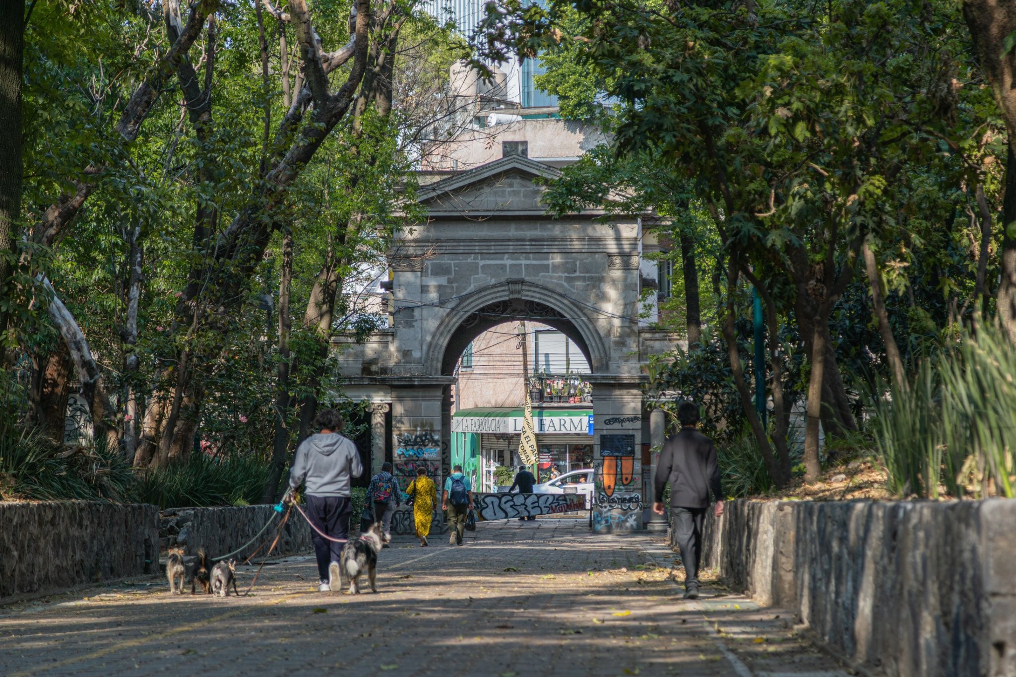 Personal del departament de mediambient mexicà actua al Parque Lira de Ciutat de Mèxic, on estava previst que se celebrés un polèmic espectacle lumínic immersiu / PAOT