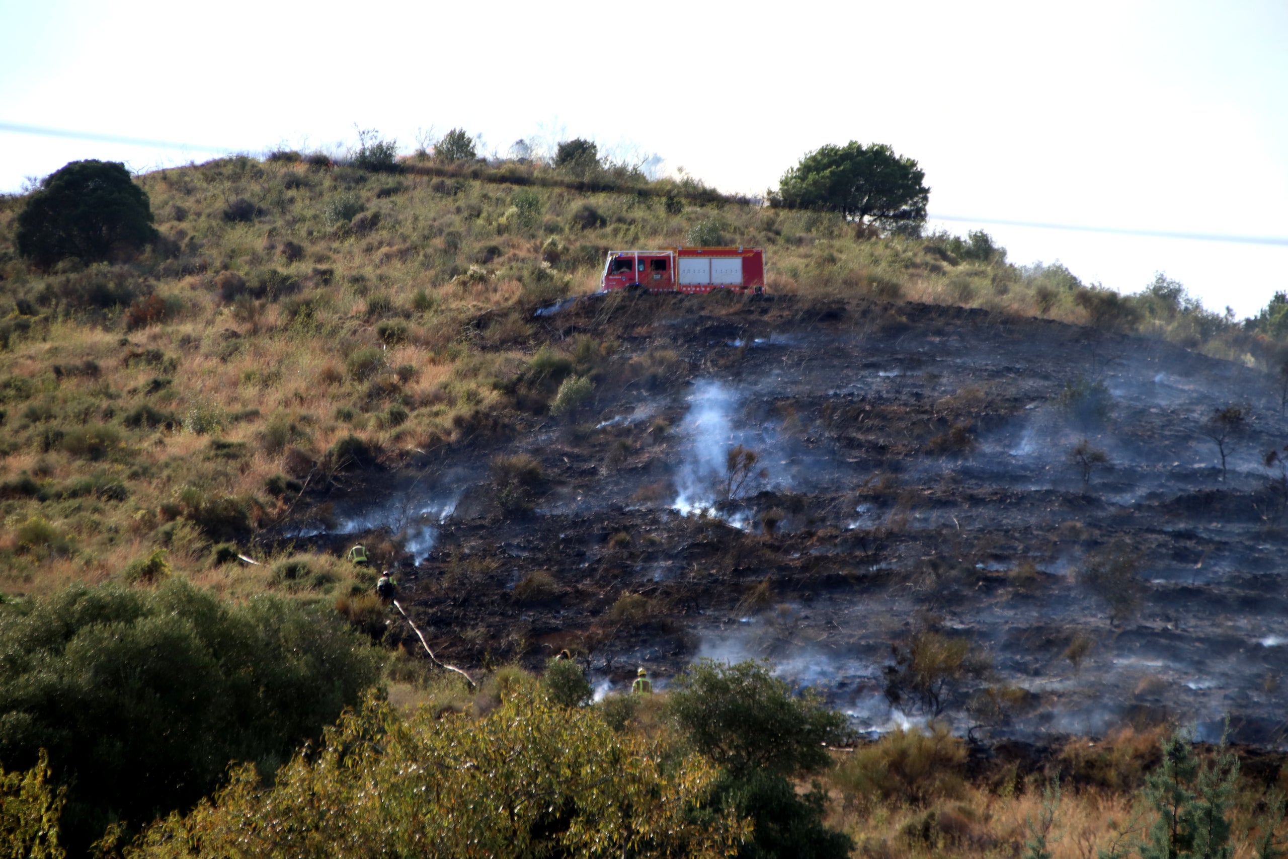 Un camió dels Bombers treballa a Collserola / ACN