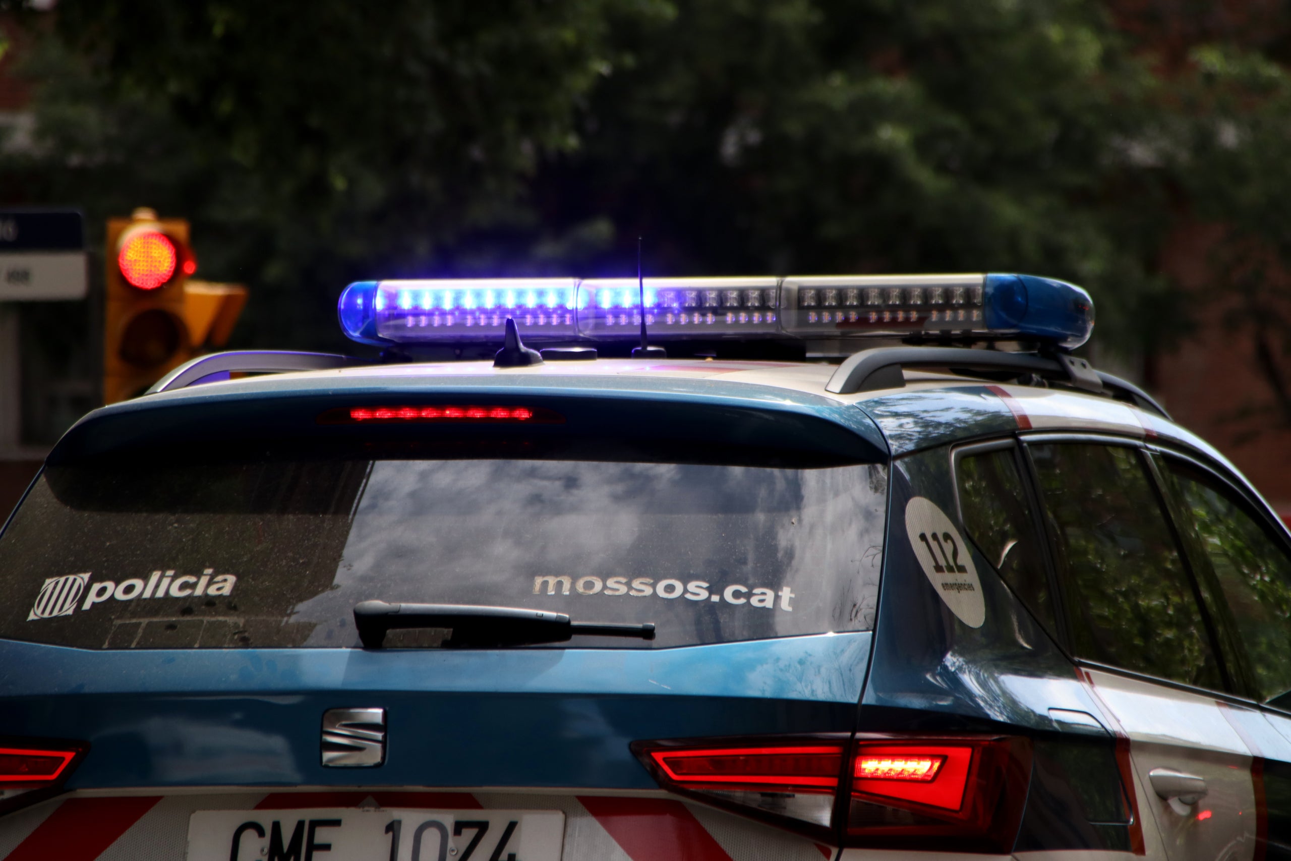 Un cotxe patrulla dels Mossos / ACN