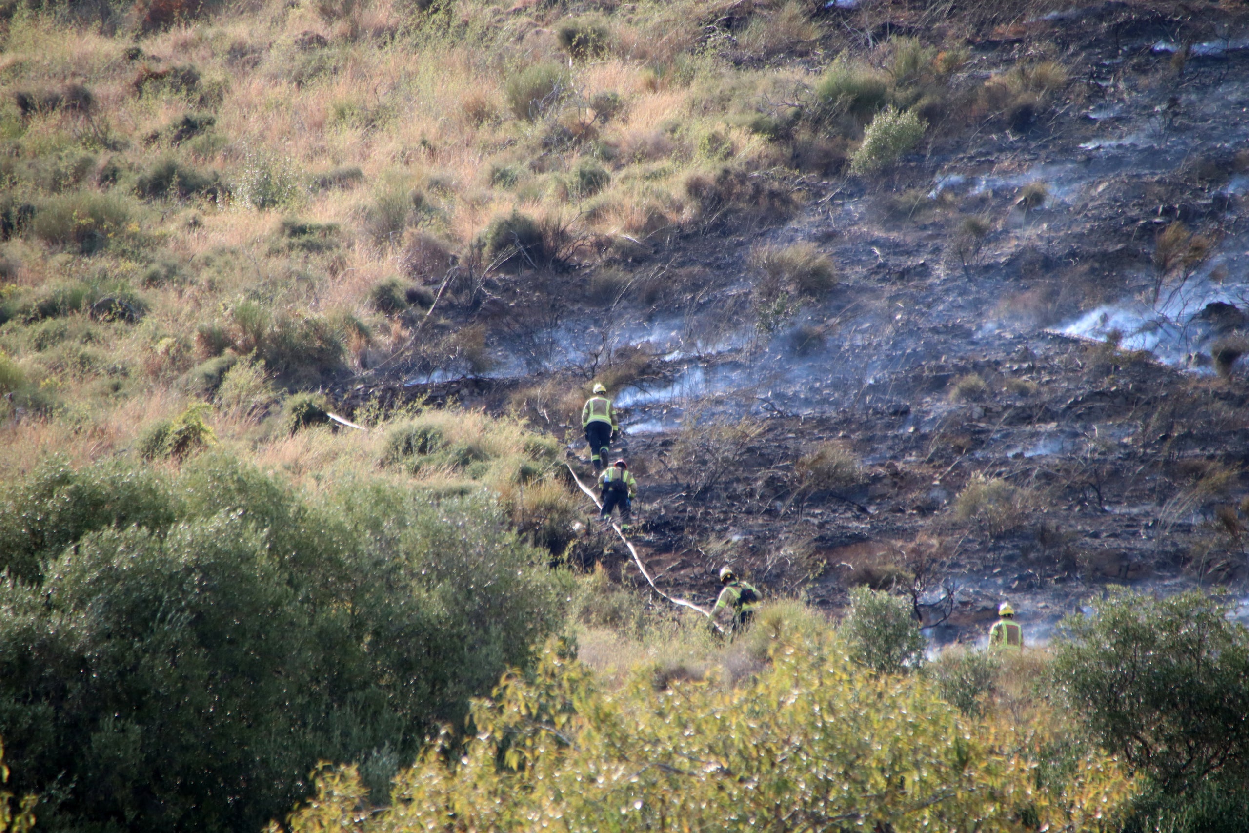 Incendi a la muntanya de Sant Pere Màrtir / ACN