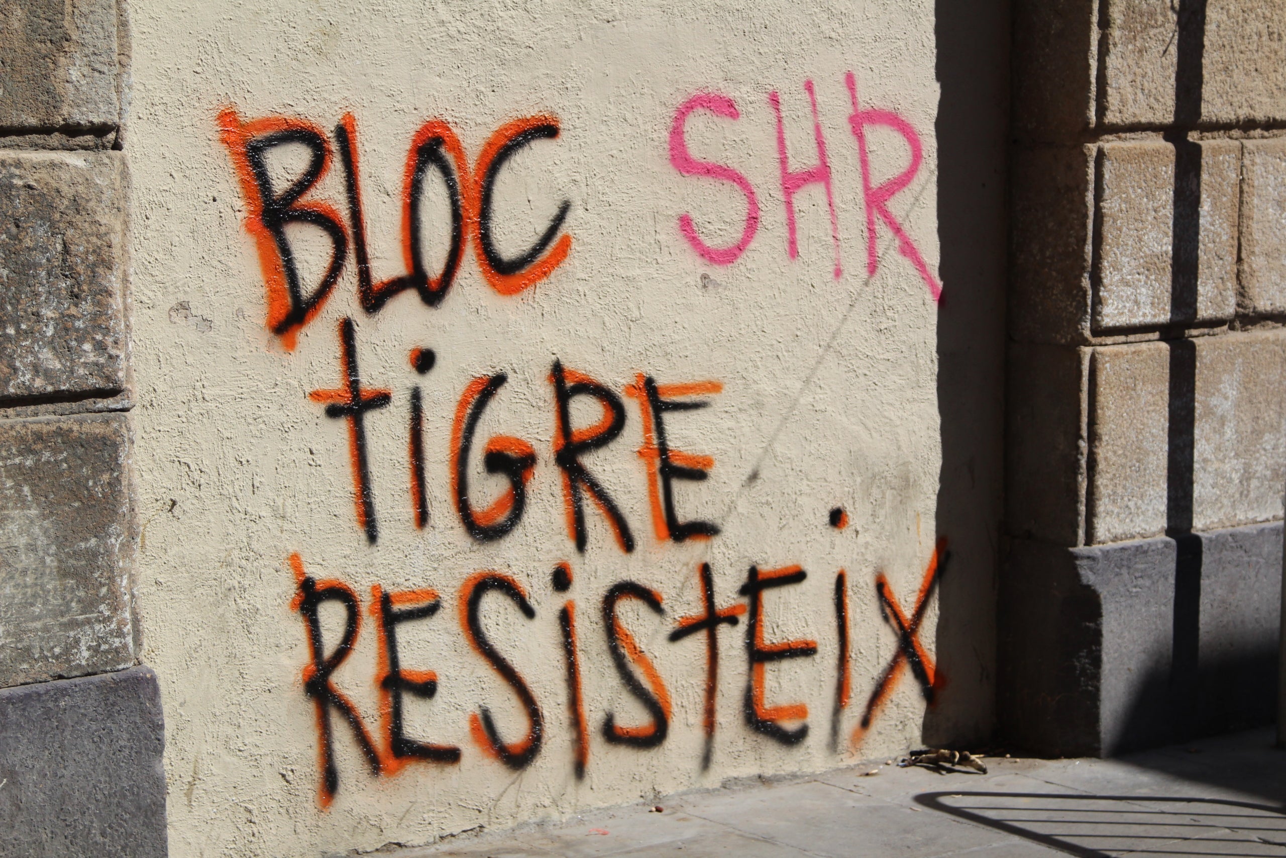 Concentració per evitar el desnonament de l'última família que resistia al número 24 del carrer del Tigre del Raval / A.R.