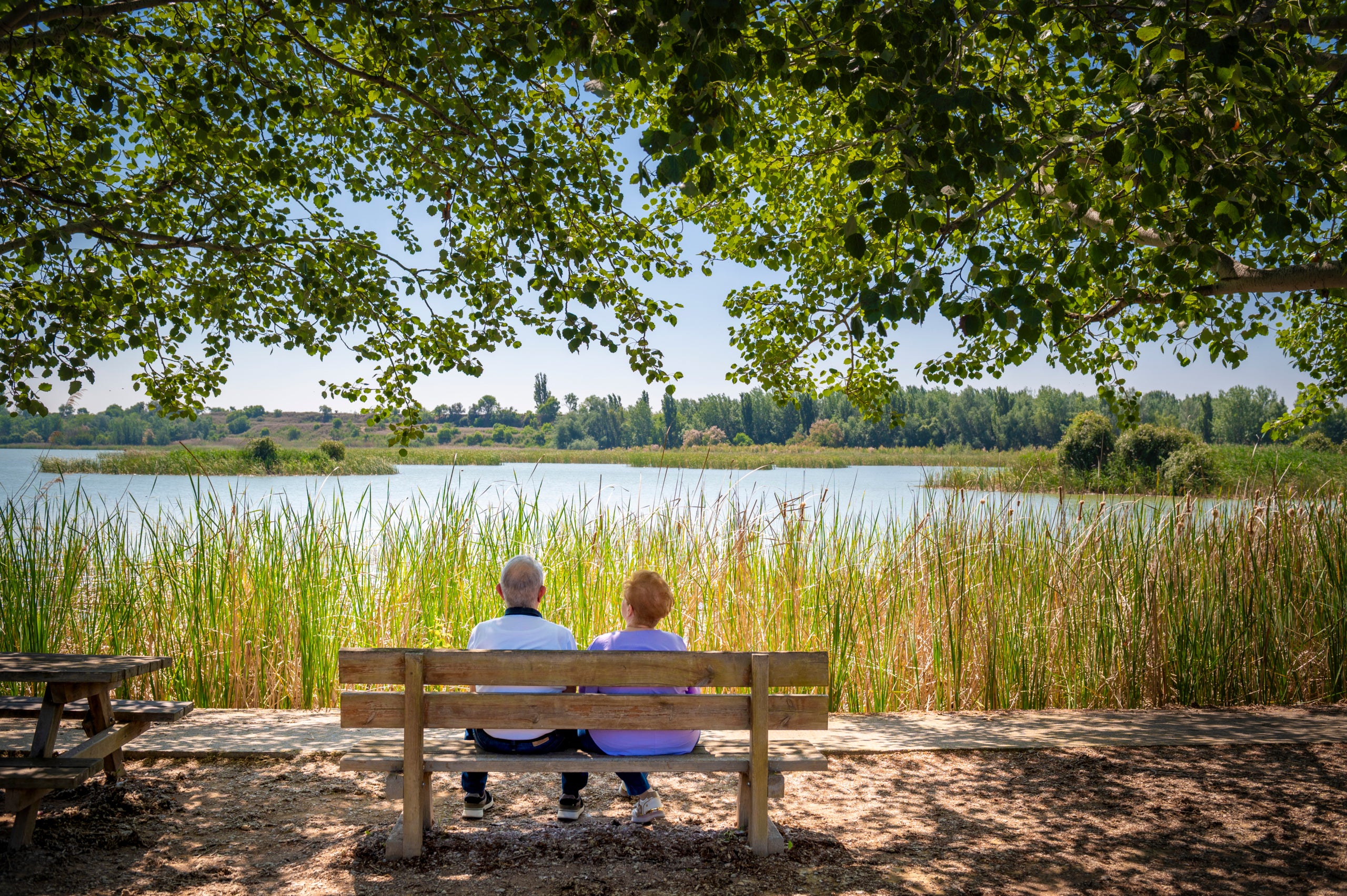 Estany d'Ivars i Vila-sana / Foto: Carles Fortuny /Patronat de Turisme de la Diputació de Lleida