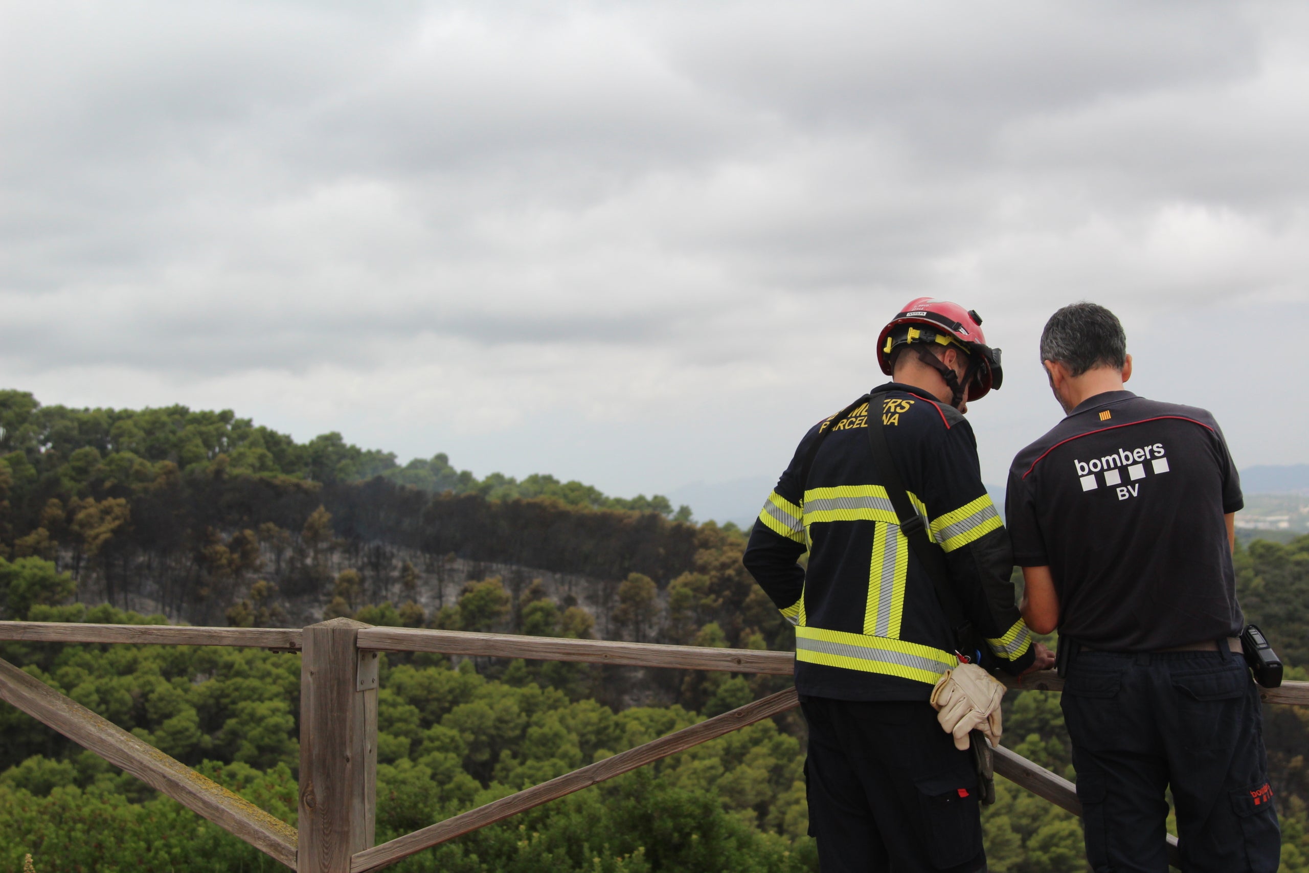 Trams de zona forestal cremada per l'incendi que ha afectat Torre Baró i Ciutat Meridiana / A.R.