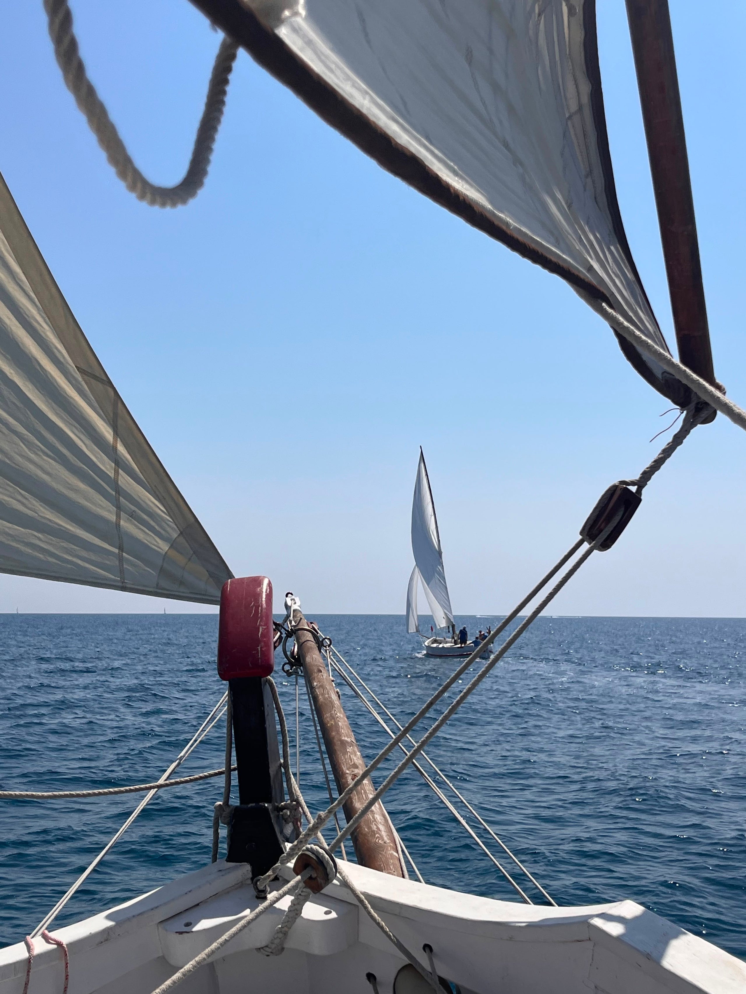 La Santa Espina, un llaüt de vela llatina de tipus sardinal que es va construir el 1928 i forma part de la col·lecció del Museu Marítim de Barcelona / Museu Marítim de Barcelona