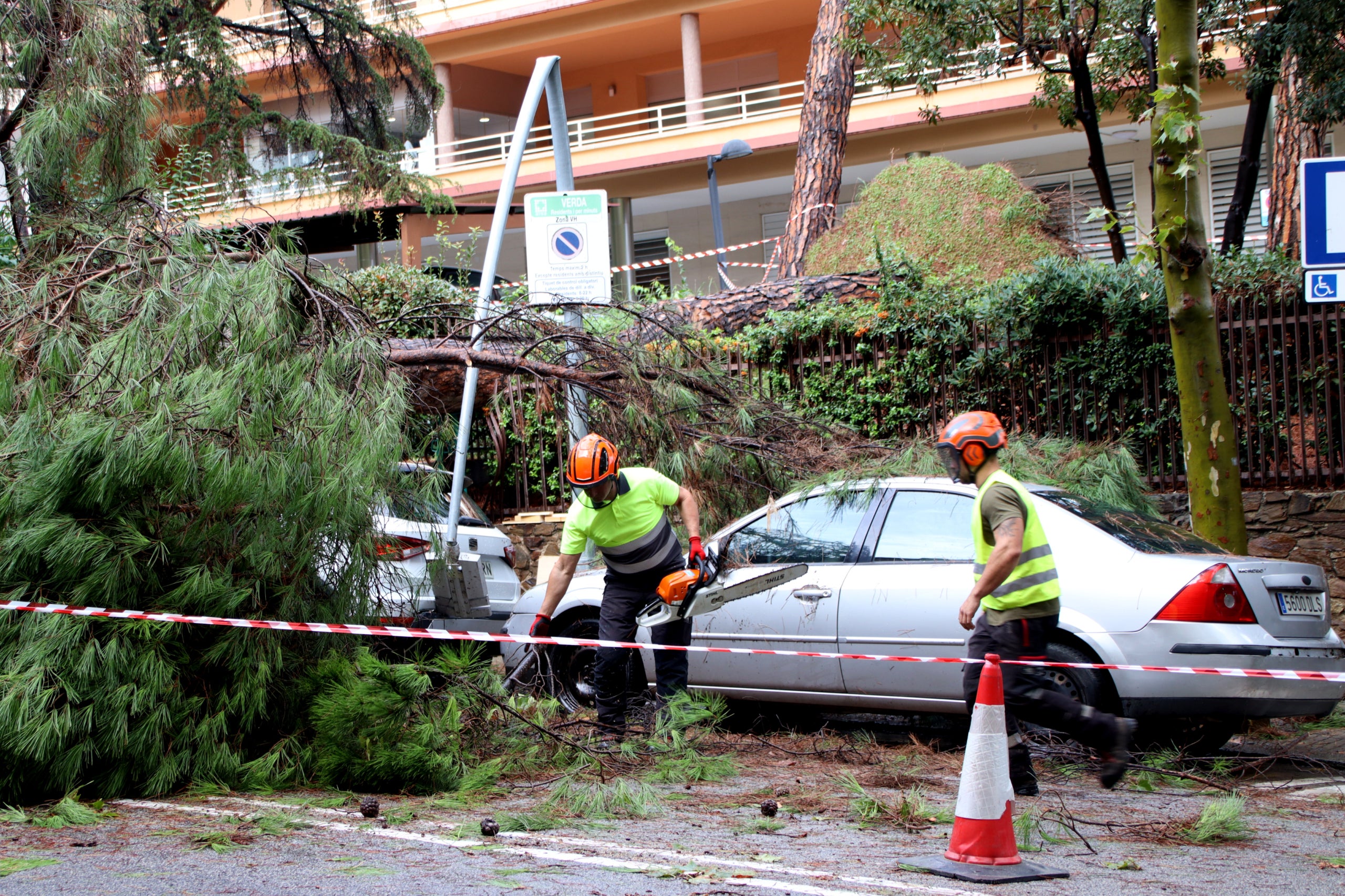 Arbre caigut sobre la vorera a l'avinguda del Jordà de Barcelona / Blanca Blay (ACN)